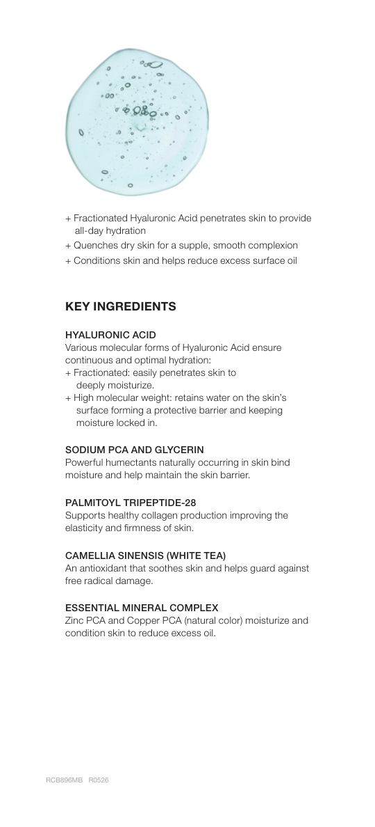 Hyaluronic Acid Water Complex product sheet page 2